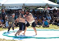 Photo of Sumo Tournament at 2013 Powell Street Festival - by Noah Photography